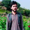 shahid.khan612