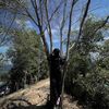 zahirah_zh