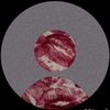 cant.find_3udora