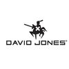 David Jones Live