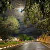 jood11130