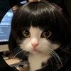 mei_yingluo