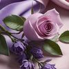 user2491919548077