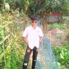 user7335266924814