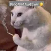 tien.nguyen303