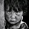 kazi.riyad11
