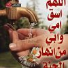 rhimel7