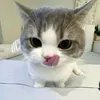 donv_1hbt