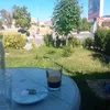 tarek3149