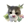 _khai..huy