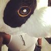 storm_panda_trill