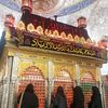 naqvi.saddat7