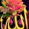 user9250543638710