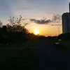 _manki_321