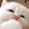 andyxx_42