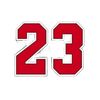 johan.big.23.23.23.0