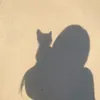 moutchipoutchi