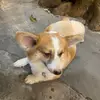 bondeptrais1tgioi