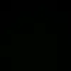 coll_133