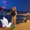 stellamontesortz