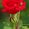 user3210341018588