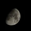 xzdigita1