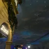 annxgow_24x