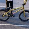 bmxfin5