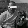 videcuifidas1312