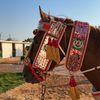 العز📸