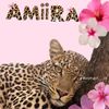 saroahmed7