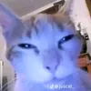 likeifyournotgay969