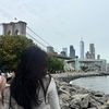 paulatellaechee