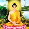 dieuam_2023