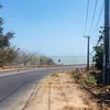 nhohongem
