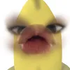 arigatoo1311