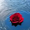 salam.com015