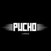 puchlyrics