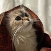 asma_pretty99