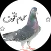 m_99_fo