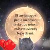 pachama01