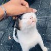rzkyyy_39