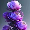 user92391187812285