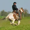 markobehnke