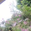 layone__03