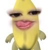 elsasaa_2