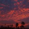 ranuthi_krj