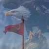 kaysturkiye