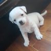 nina.w.com8
