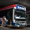 fandelalinea79